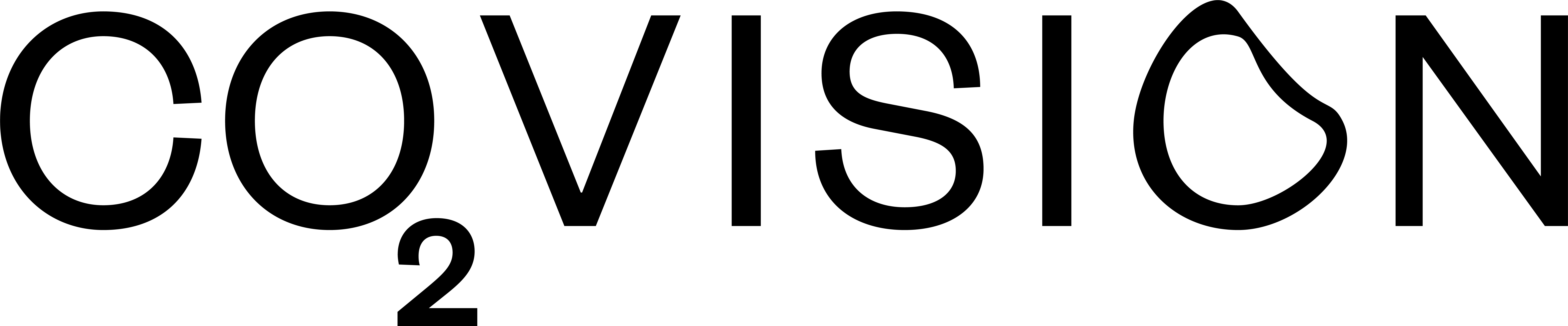 CO2 Vision Black Logo